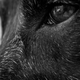 Illustration for article titled Photo Mission Gallery: Black and White